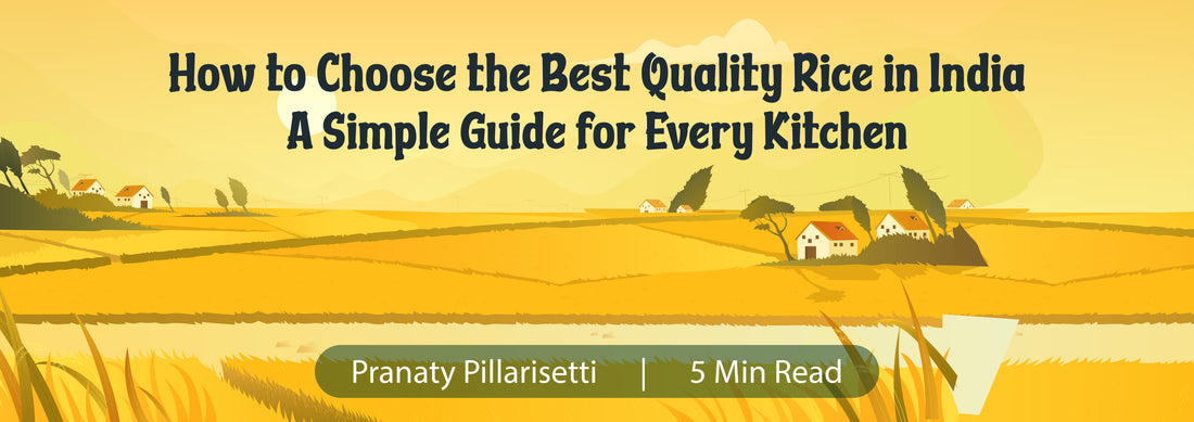 How to Choose the Best Quality Rice in USA - A Simple Guide for Every Kitchen