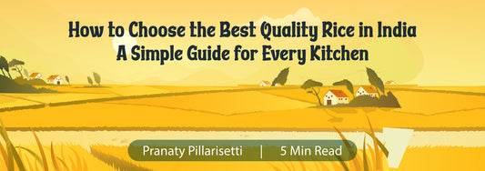 How to Choose the Best Quality Rice in USA - A Simple Guide for Every Kitchen