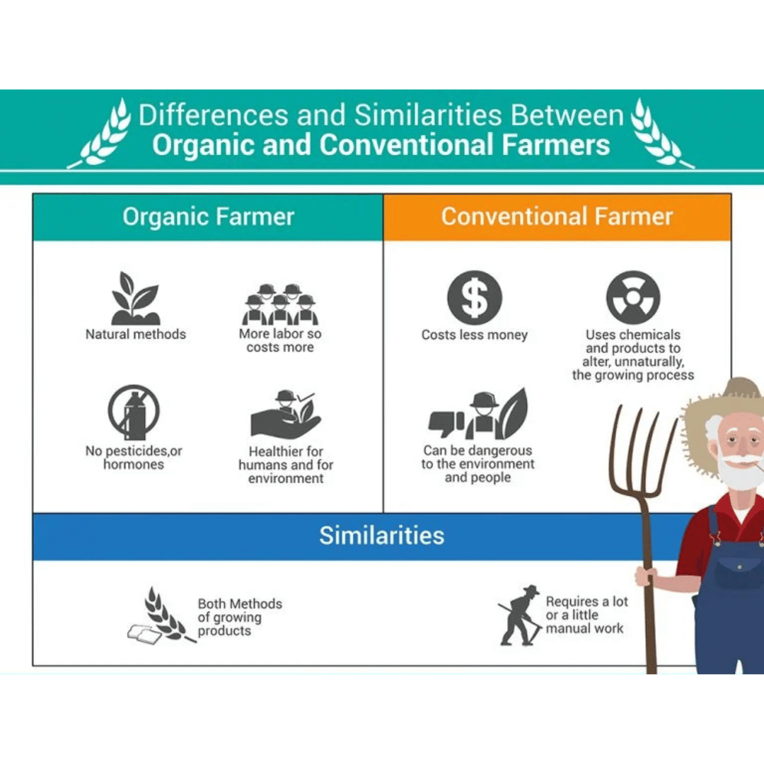 organic vs conventional