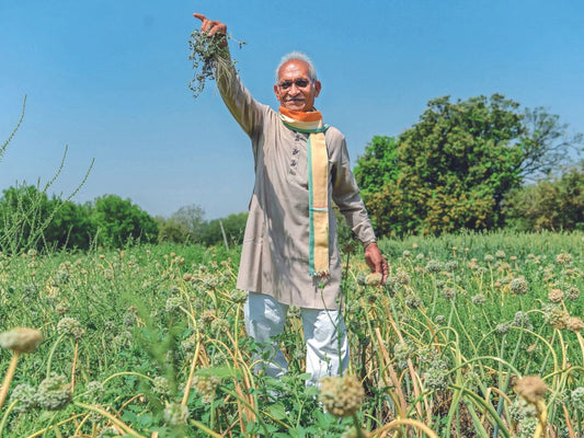 organic farming, chemical free food, natural food, healthy food, healthy snacks