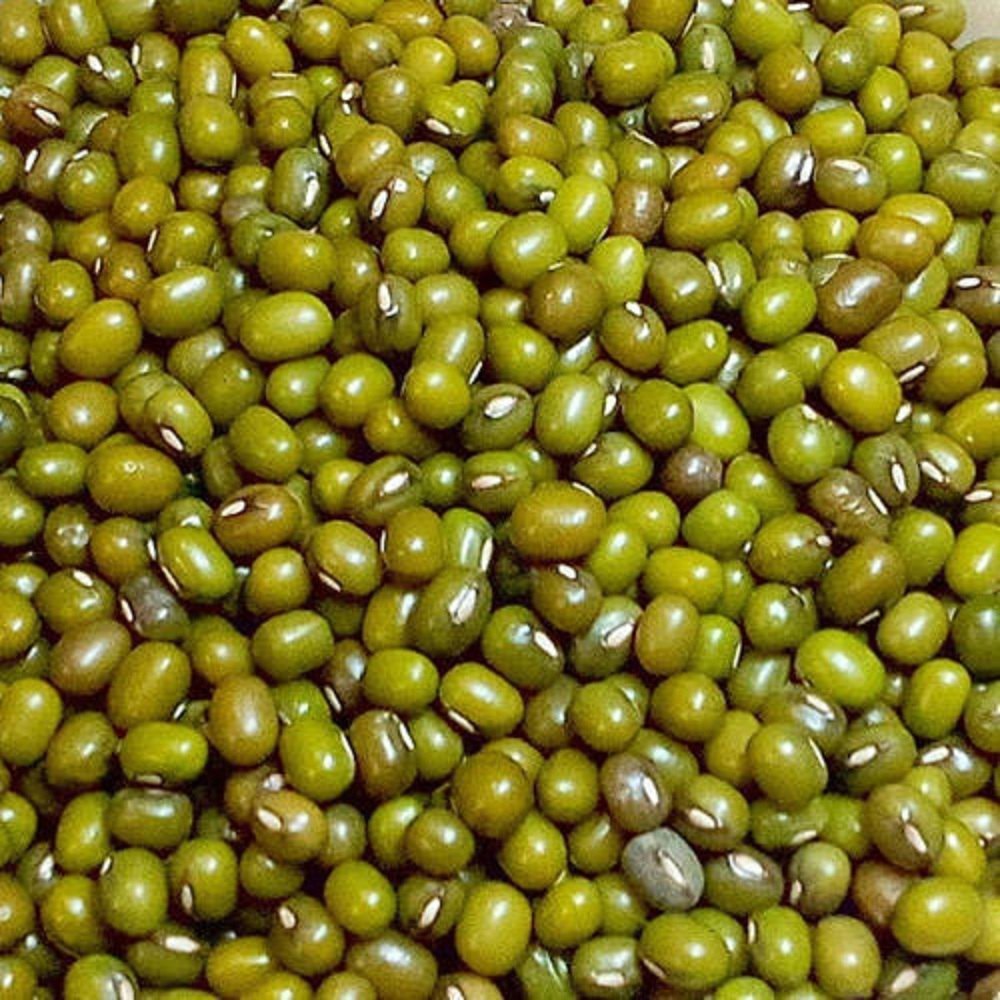 Organic Moong Dal - green